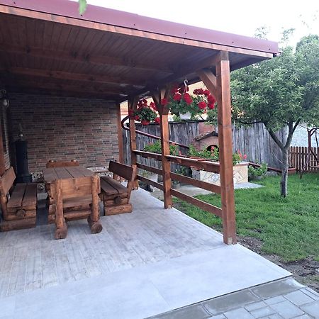 Casa Rustica Saceleana Villa Exterior photo