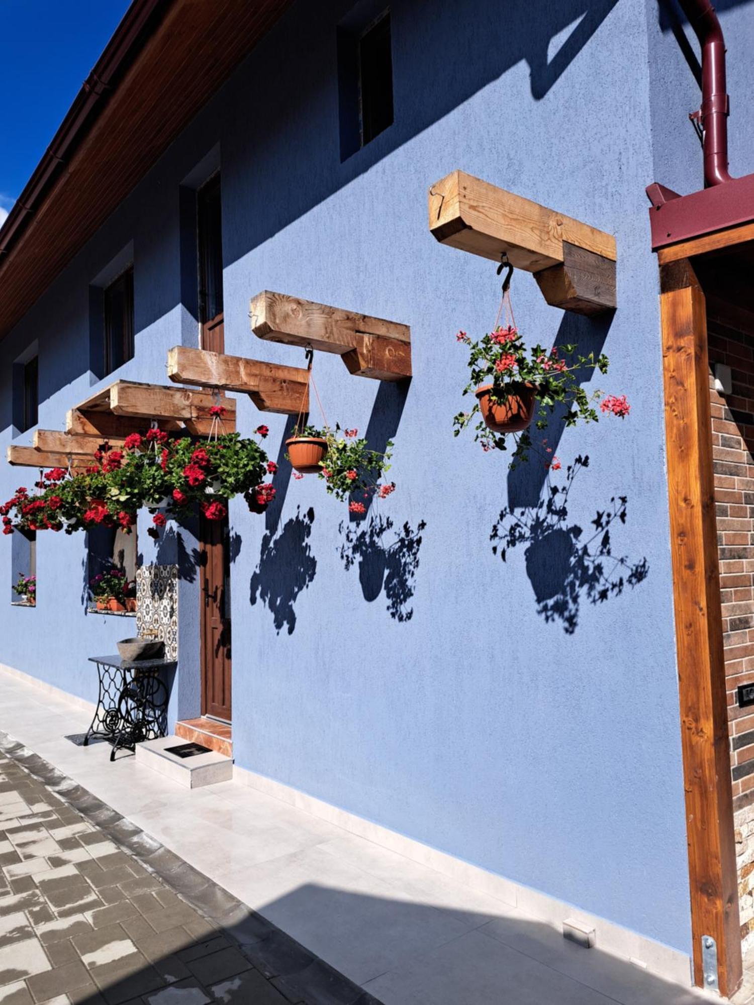 Casa Rustica Saceleana Villa Exterior photo